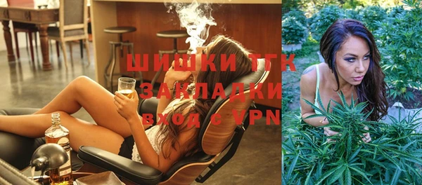 спиды Фёдоровский