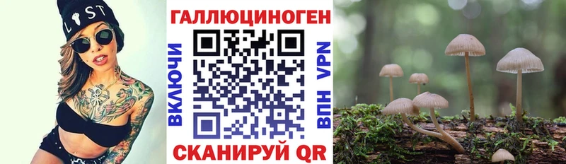 Галлюциногенные грибы Psilocybe  хочу   Монино 